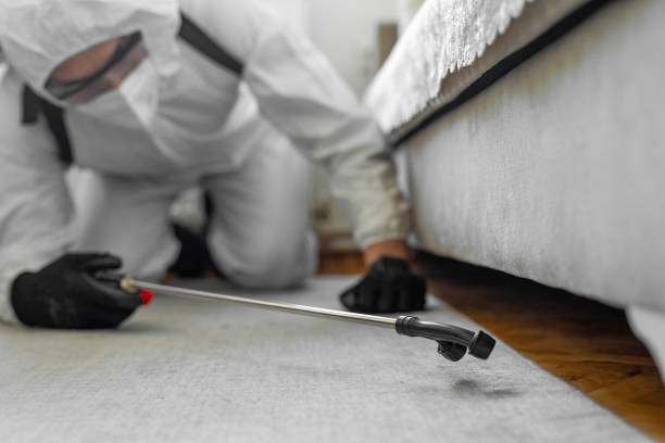 Professional Bed Bug Control technician working in Ashley County County, AR
